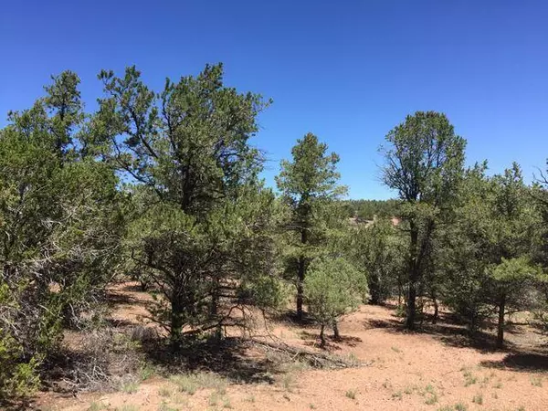 Datil, NM 87821,lot 165 Homestead Trail