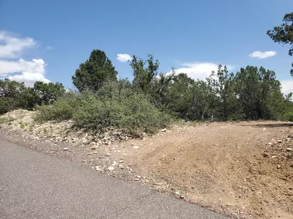 Cedar Crest, NM 87008,24 MULBERRY LOOP NE