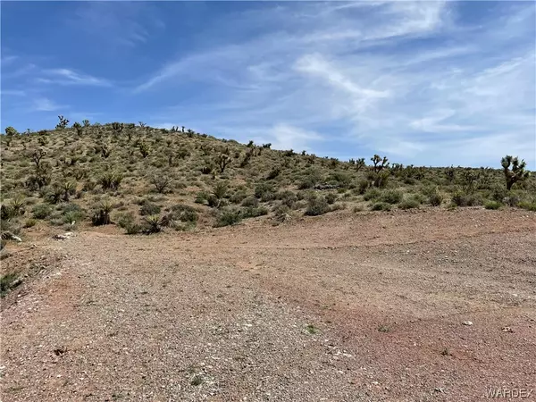 White Hills, AZ 86445,0 N Salt Springs RD