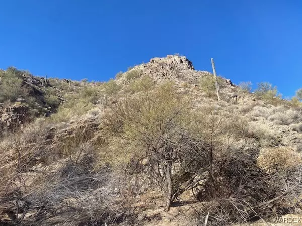 10270008 Signal RD, Wikieup, AZ 85360