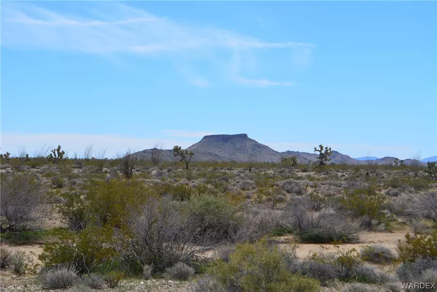 Lot F4 Hansen RD, Yucca, AZ 86438