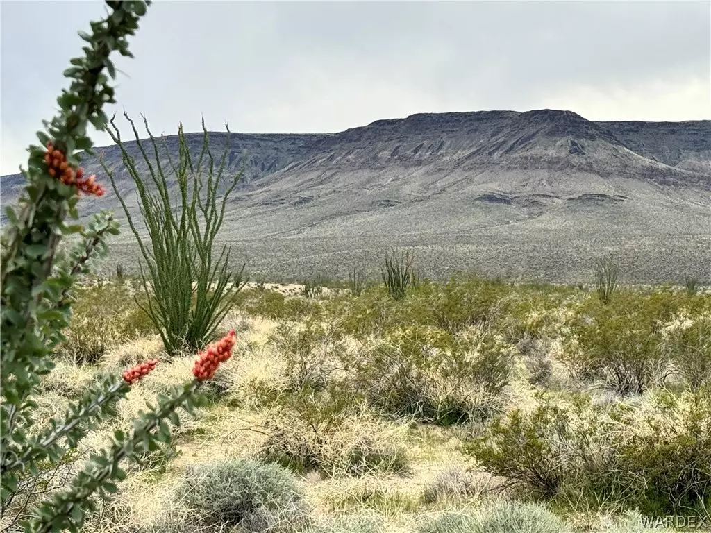 Yucca, AZ 86438,0000 W Sunset RD