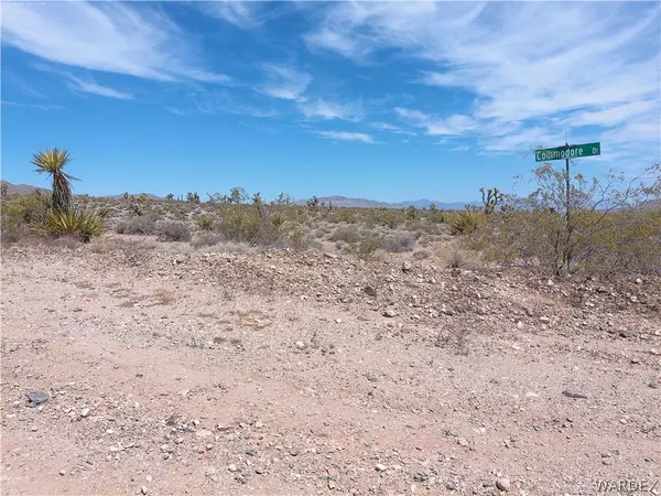 Meadview, AZ 86444,Lot 2983 W Commodore DR