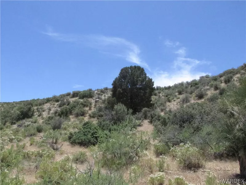 0 Oxen PASS, Wikieup, AZ 85360
