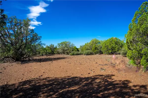 242 N Kit Fox TRL, Kingman, AZ 86401
