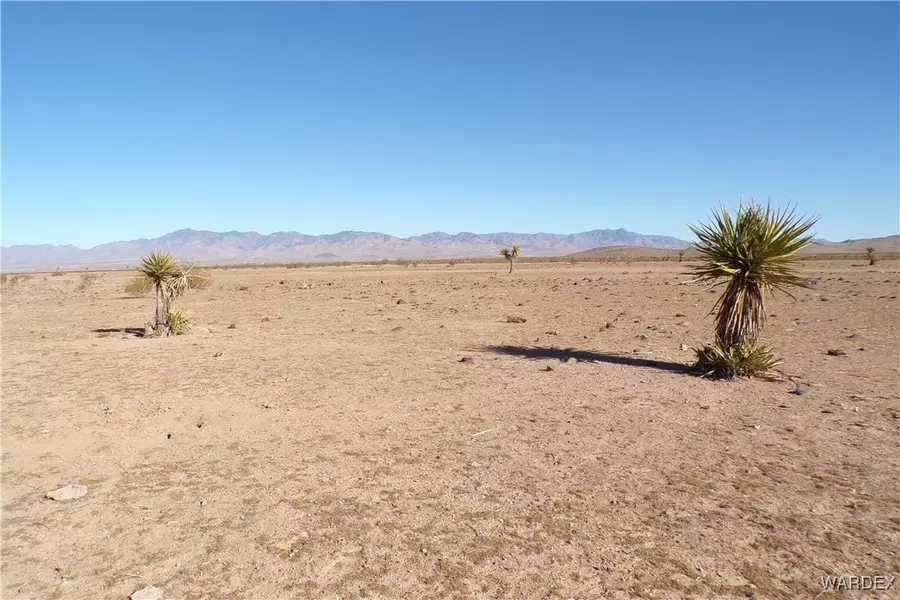 Lot 20 N Jerry RD, Dolan Springs, AZ 86441