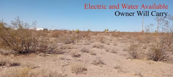 000 W Broken Bow #387, White Hills, AZ 86445