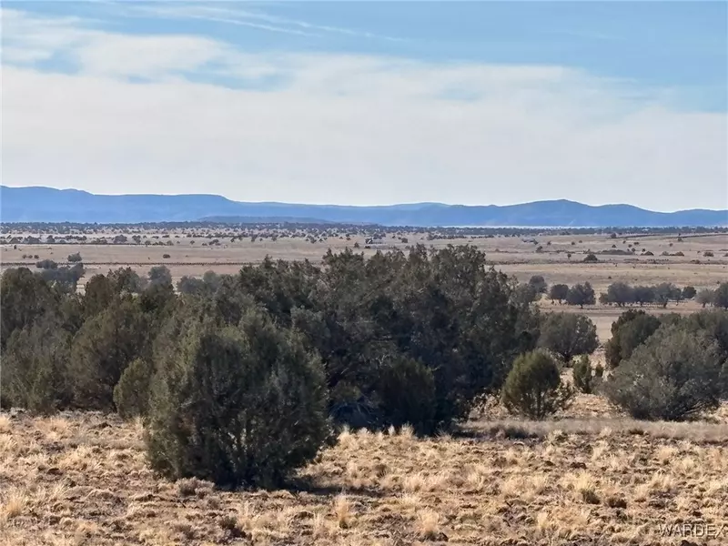 14 N Ten Tanks RD, Williams, AZ 86046