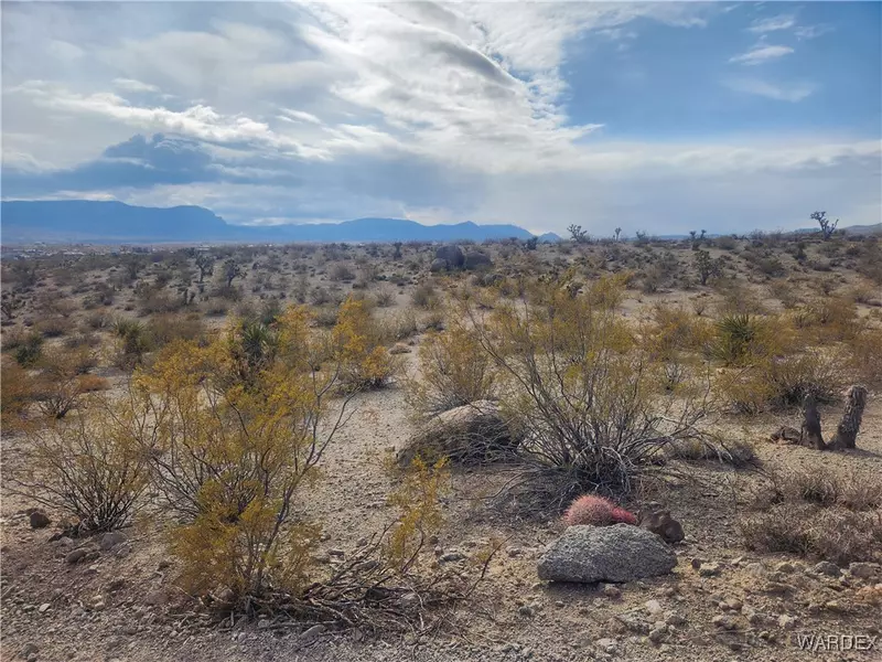 1090 W Phantom Creek DR, Meadview, AZ 86444