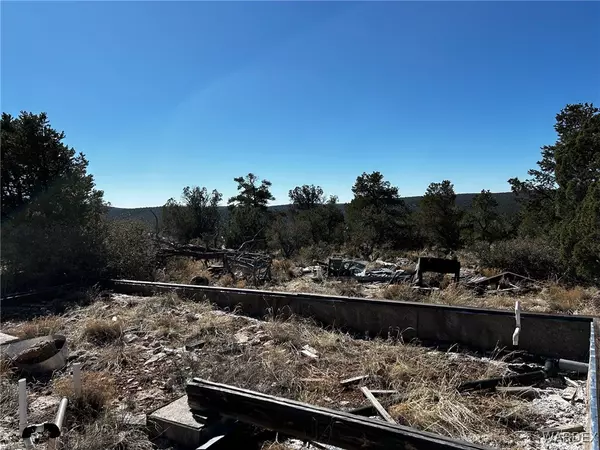 LOT 010 Skunk Hill TRL, Peach Springs, AZ 86434