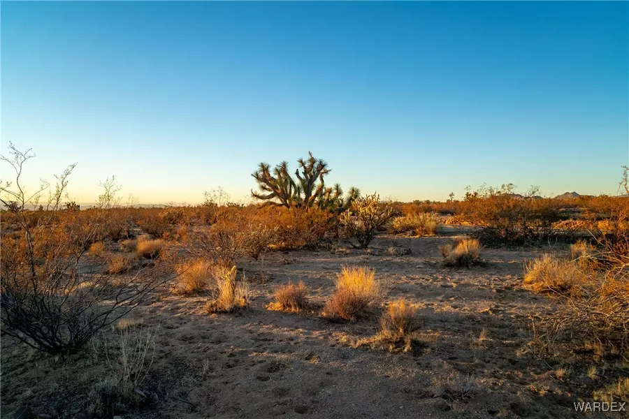 2358 S Cattle Crossing RD, Yucca, AZ 86438