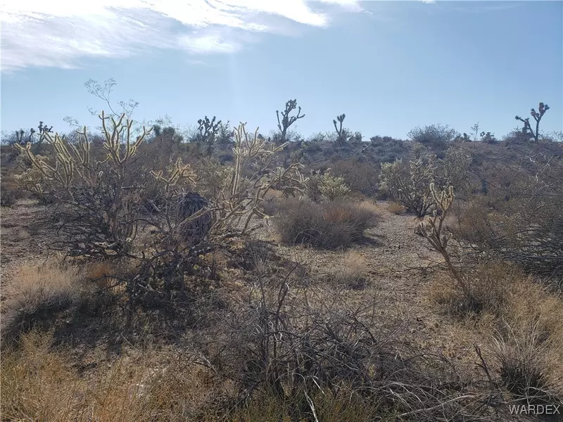 2 ACRES - 8560 W White Hills RD, White Hills, AZ 86445