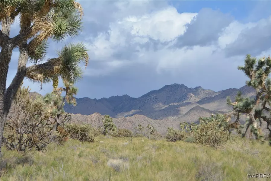 L9 S Jenny RD, Yucca, AZ 86438