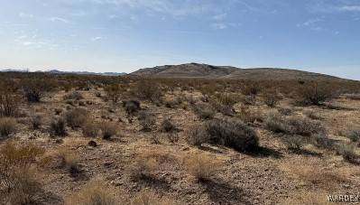 0 N Coyote RD, Dolan Springs, AZ 86441