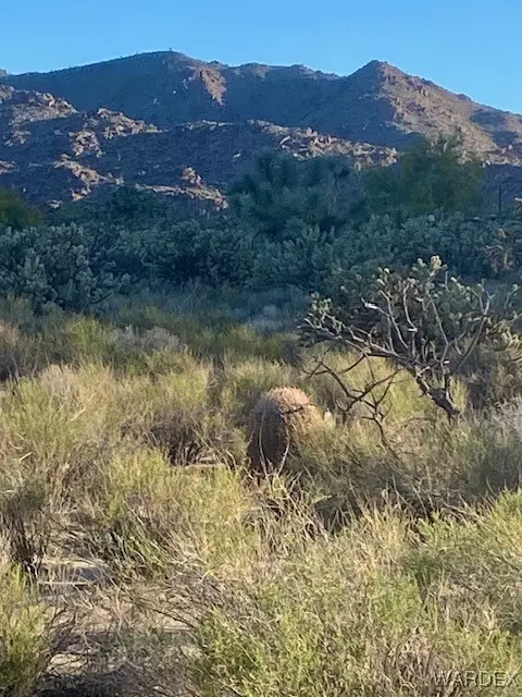 11751 S Carrow RD, Yucca, AZ 86438