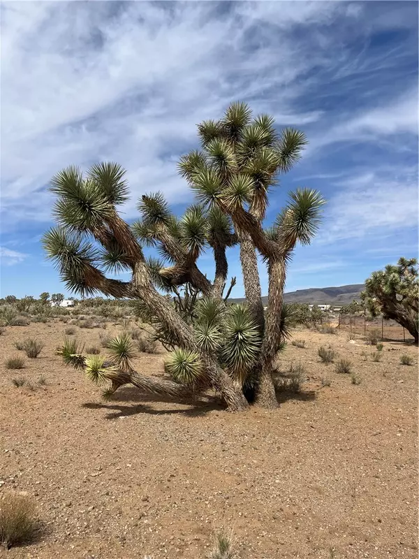 327-02-131 Sunflower Dr, Dolan Springs, AZ 86441