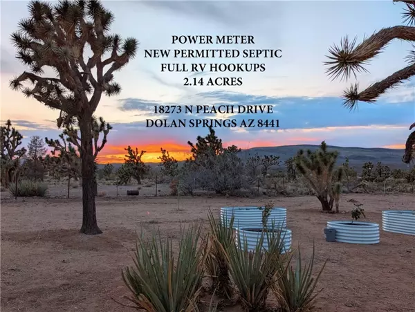 18273 N Peach DR, Dolan Springs, AZ 86441