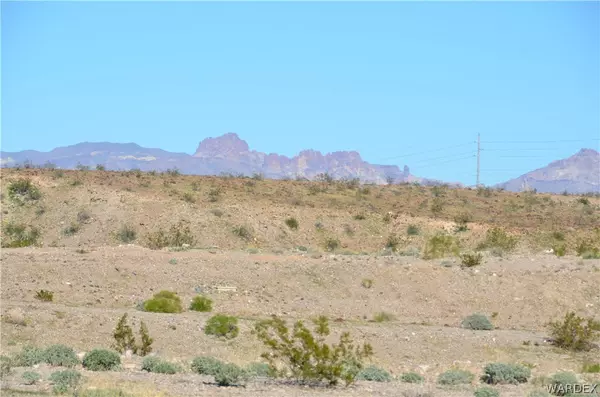 Bullhead City, AZ 86442,2339 Jo Ann AVE