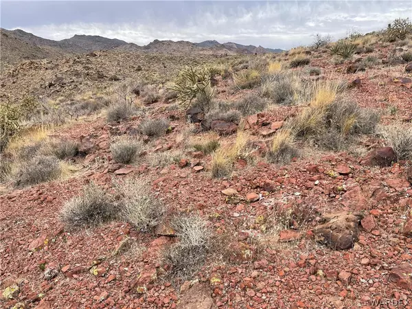 Kingman, AZ 86409,TBD Bull Mountain RD