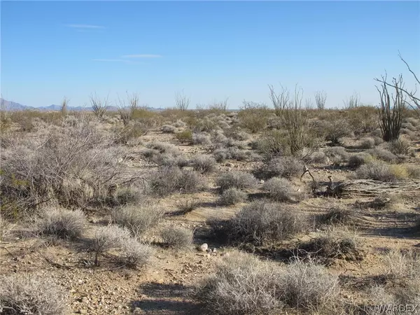 Yucca, AZ 86438,105A W Sunset RD