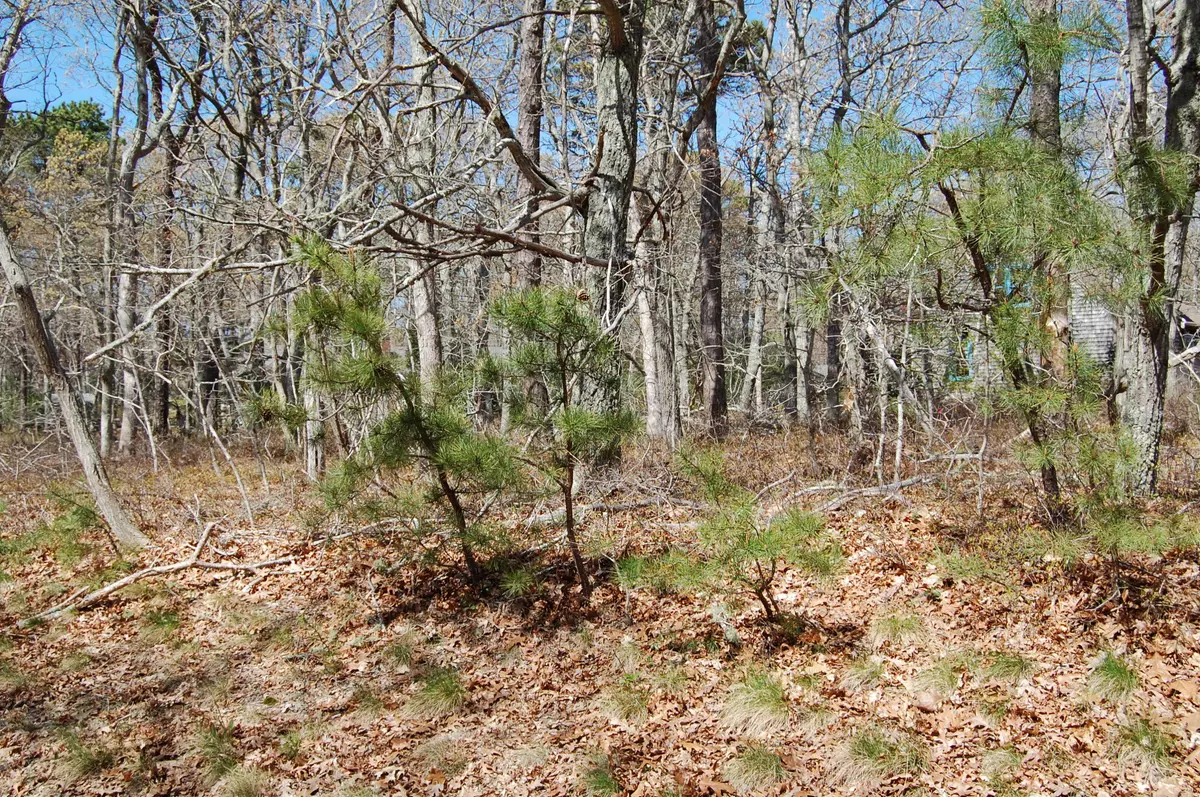 Eastham, MA 02642,25 Salt Winds Drive