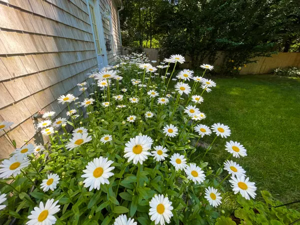 Centerville, MA 02632,86 Goff Terrace