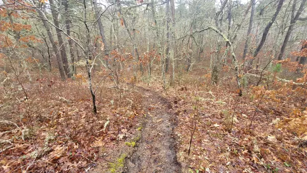 Harwich, MA 02645,0 Round Cove Road