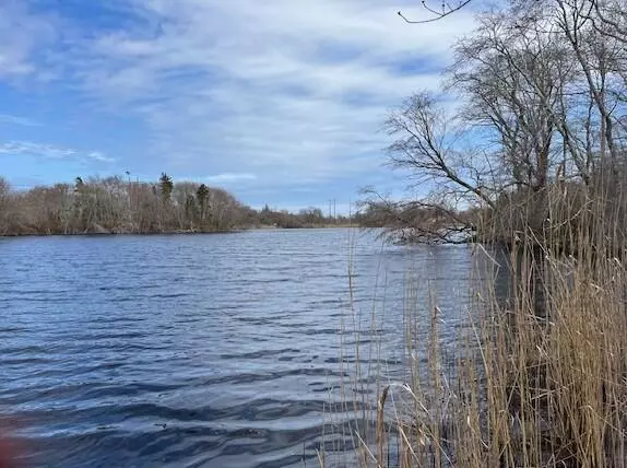 Orleans, MA 02653,32 Locust Road