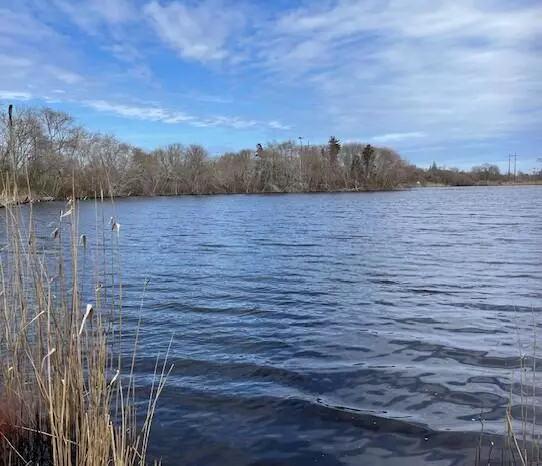 Orleans, MA 02653,32 Locust Road