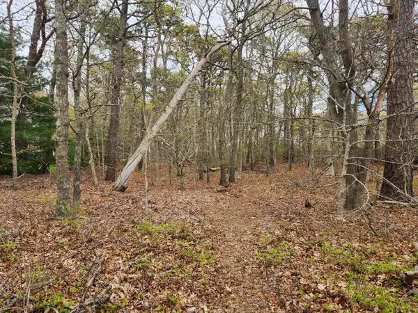 0 Commons Way, Brewster, MA 02631