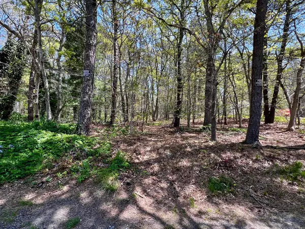 Brewster, MA 02631,0 Sheffield Road