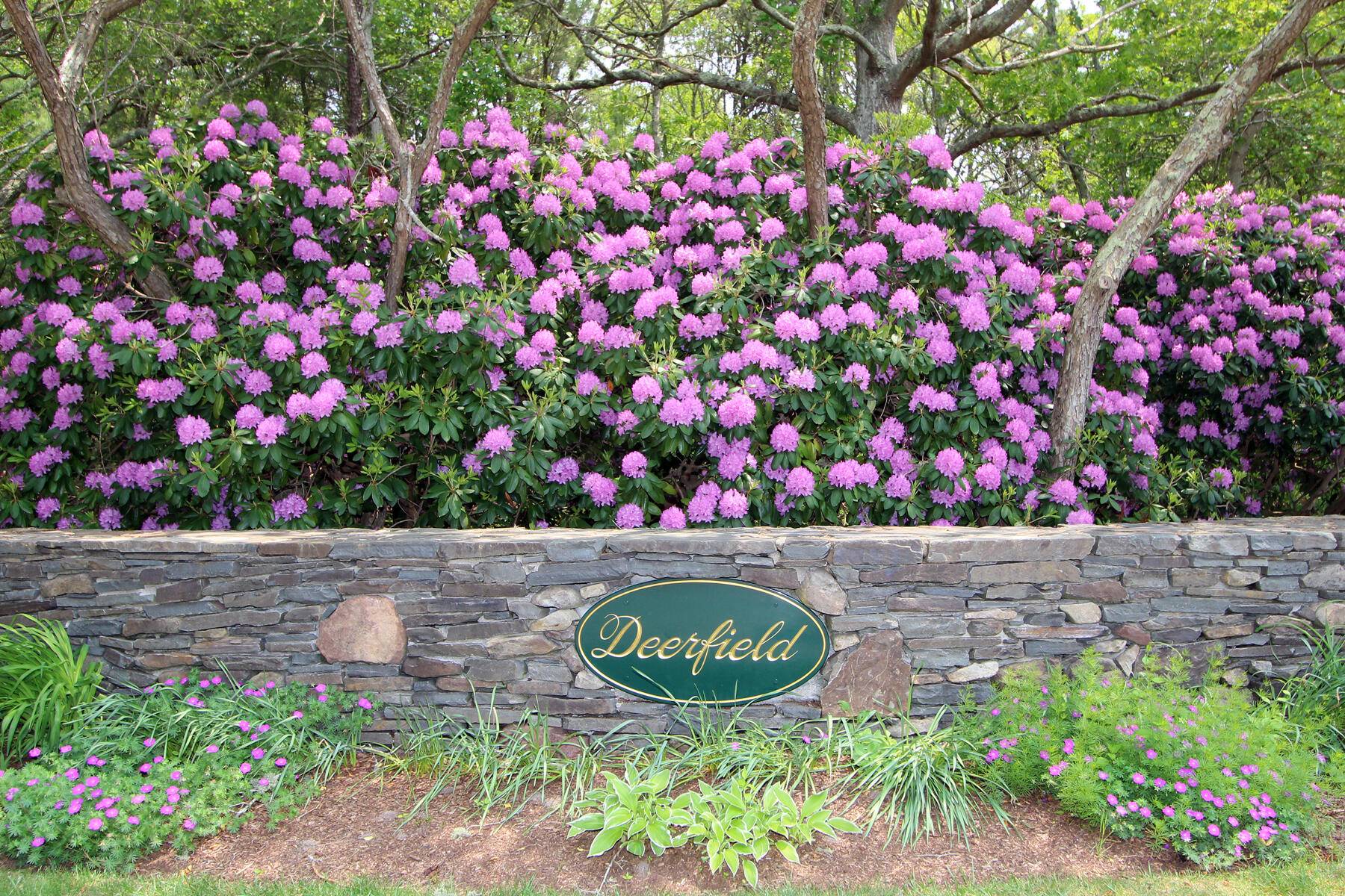 Brewster, MA 02631,81 Red Maple Road
