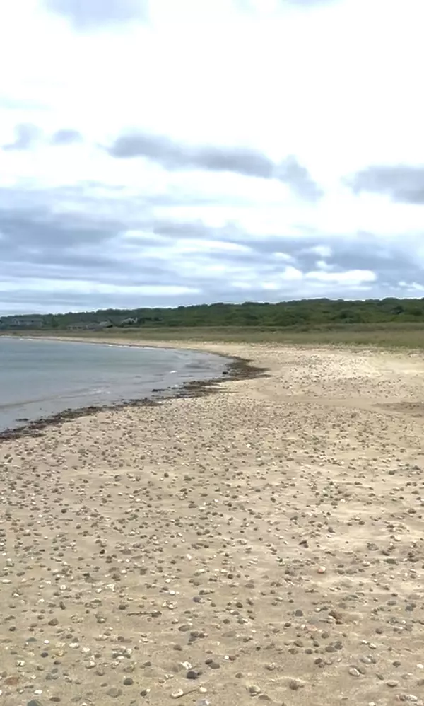 Aquinnah, MA 02535,00 Oxcart Road