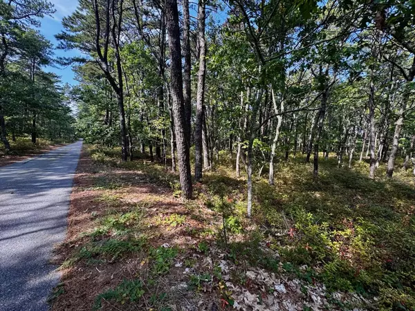 Wellfleet, MA 02667,175 Delphi Path