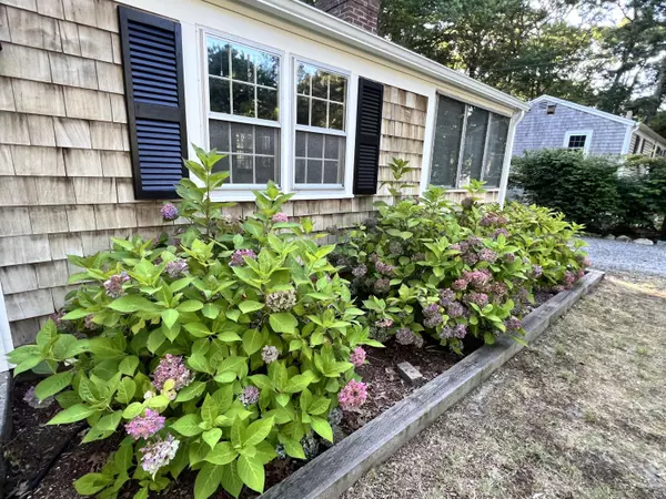 South Dennis, MA 02660,15 Alexander Drive