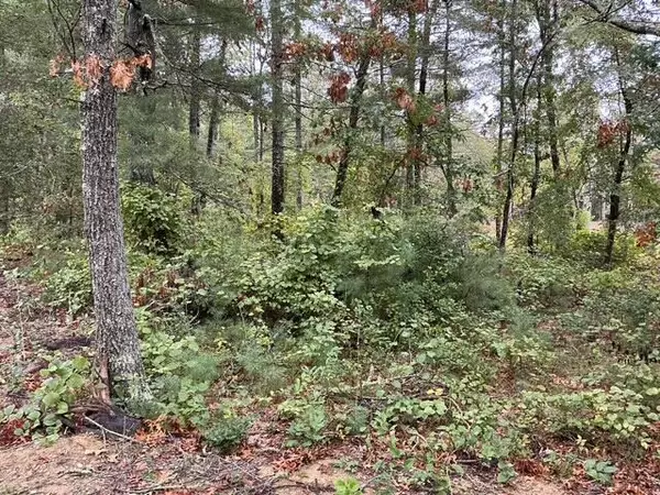 Cotuit, MA 02635,78 Brittany Drive