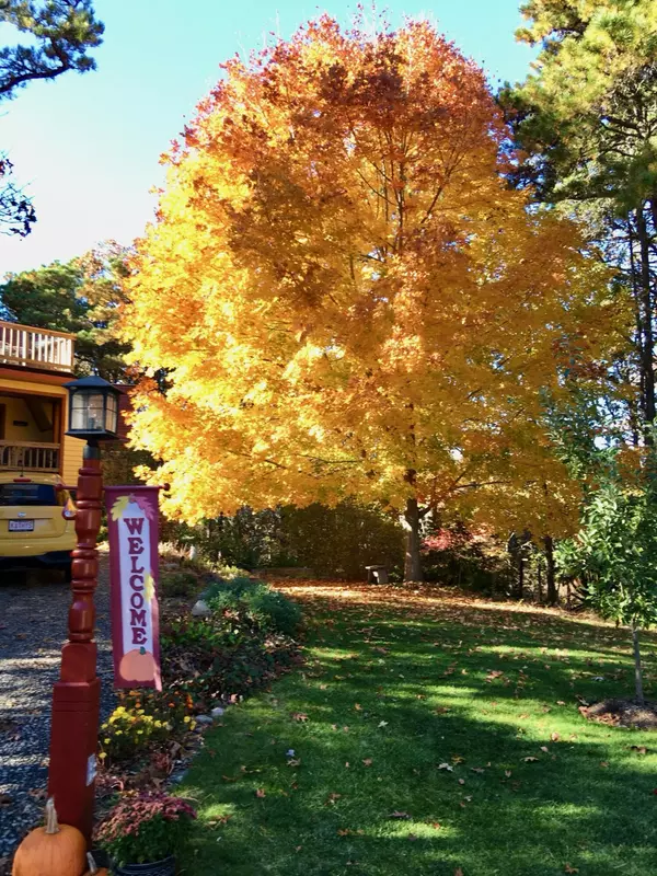 Eastham, MA 02642,45 Starlight Lane