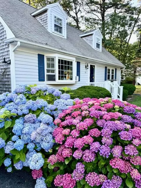 Yarmouth Port, MA 02675,43 Canterbury Road