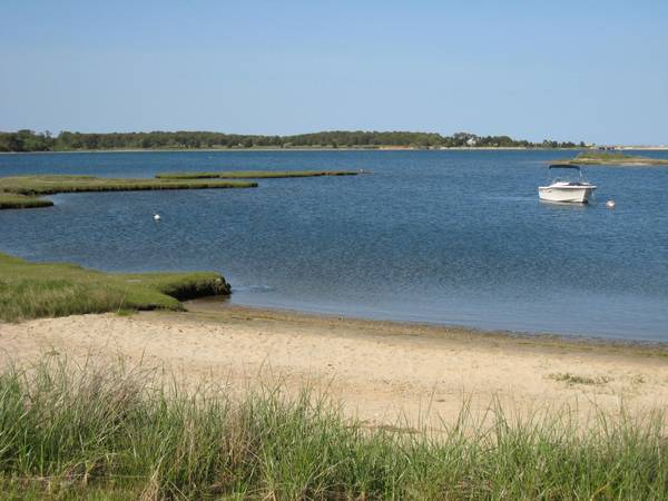 Oak Bluffs, MA 02557,49 Waterview Road