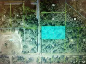 10115 N Coco Plumosa DR, Crystal River, FL 34428