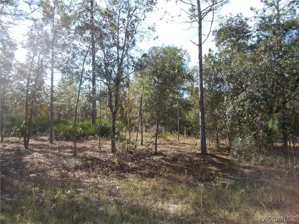 7276 W Imvious LN, Dunnellon, FL 34433