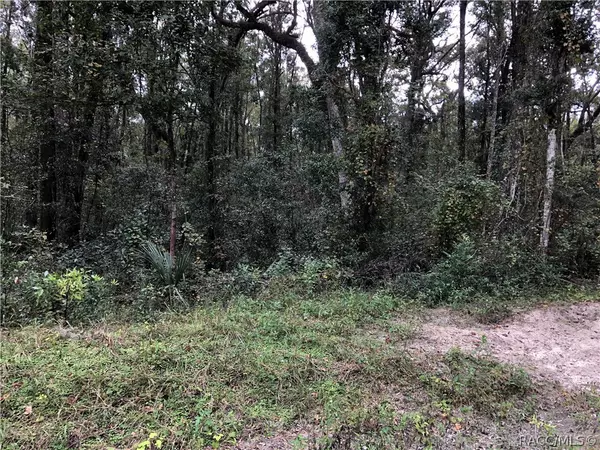 1199 NE 386 AVE, Old Towne, FL 32680