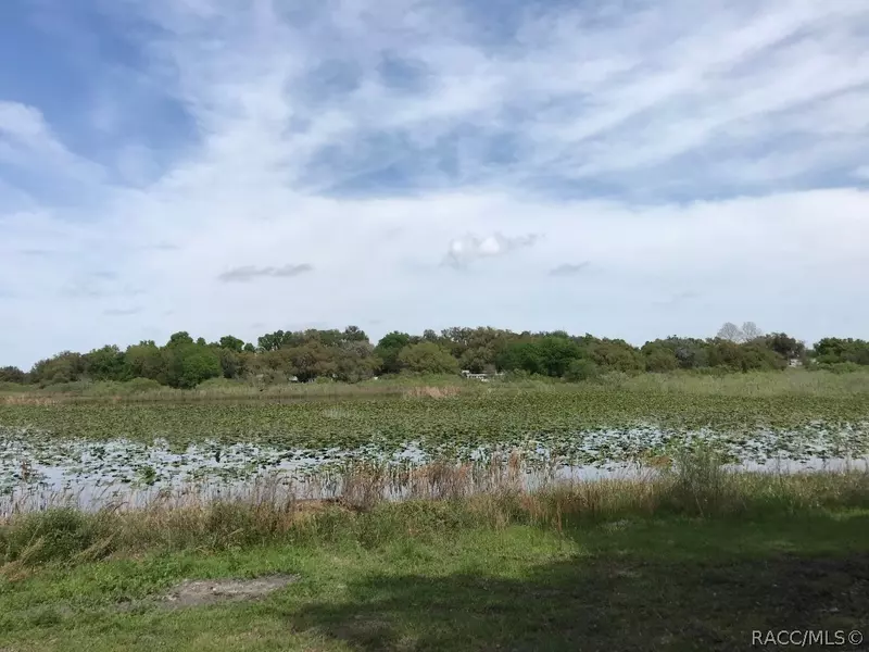 8089 E Sunray LN, Floral City, FL 34436