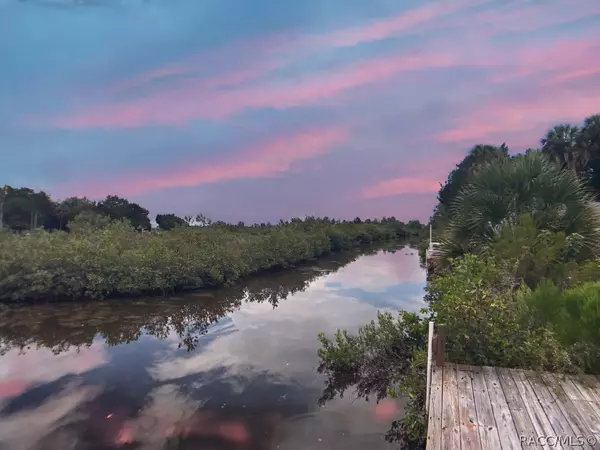 Crystal River, FL 34429,1587 S Fishcreek PT