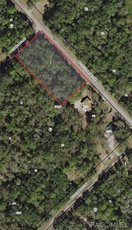 Crystal River, FL 34429,12400 W Cranesbill PL