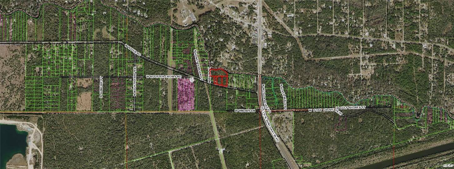 Inglis, FL 34449,11275 N Rain PT