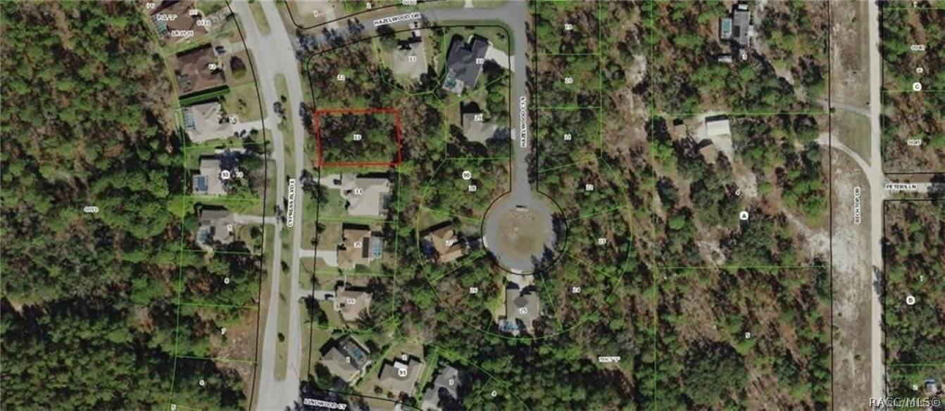 Homosassa, FL 34446,180 Cypress BLVD E