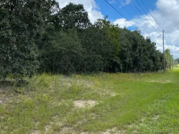 Beverly Hills, FL 34465,2927 W Mustang BLVD