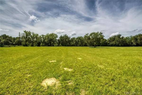 Floral City, FL 34436,4507 E Stage Coach TRL