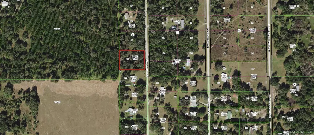 Crystal River, FL 34428,9786 N Misty Janell TER
